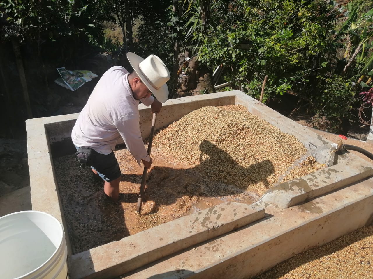 A man with coffee pulp in Mexico