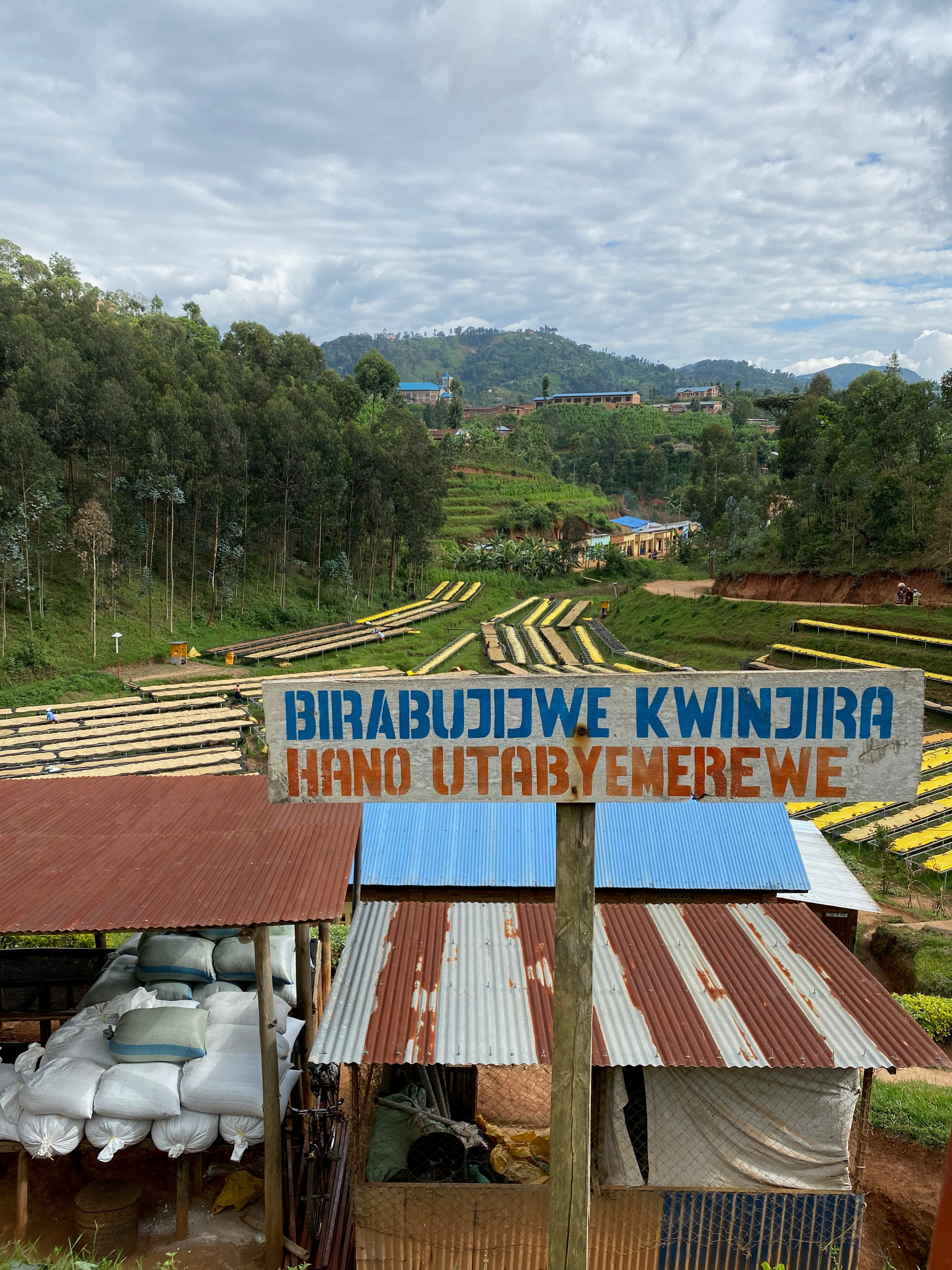 Terraced coffee drying beds with sacks under corrugated metal shelter and foreground sign reading BIRABUJIJWE KWINJIRA HANO