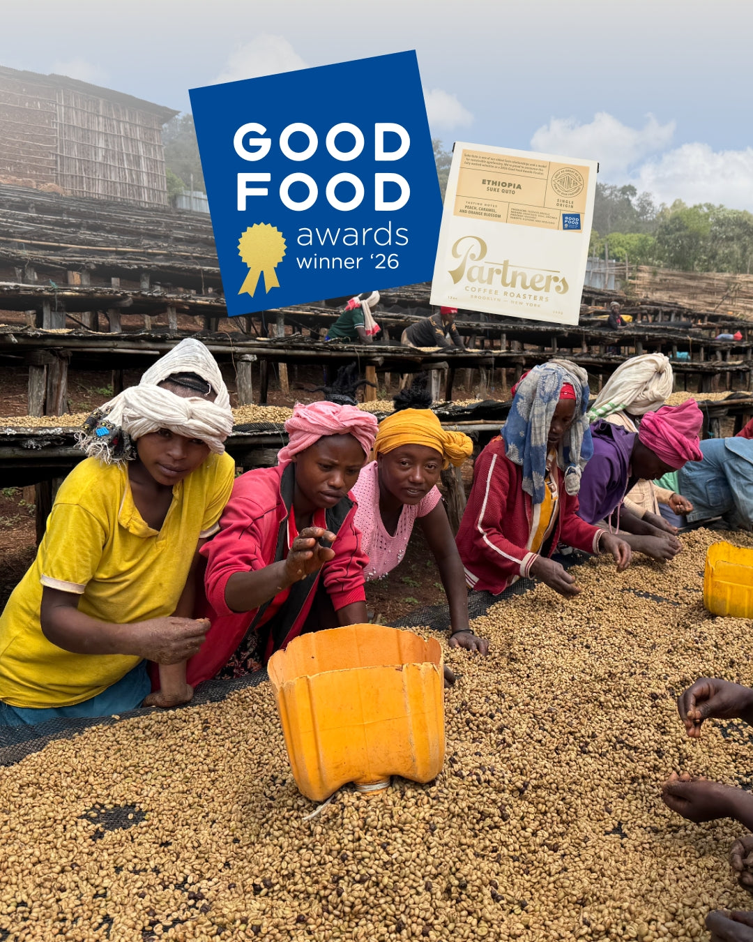 Ethiopian coffee workers sorting and drying coffee cherries on raised beds at a washing station, orange bucket in foreground