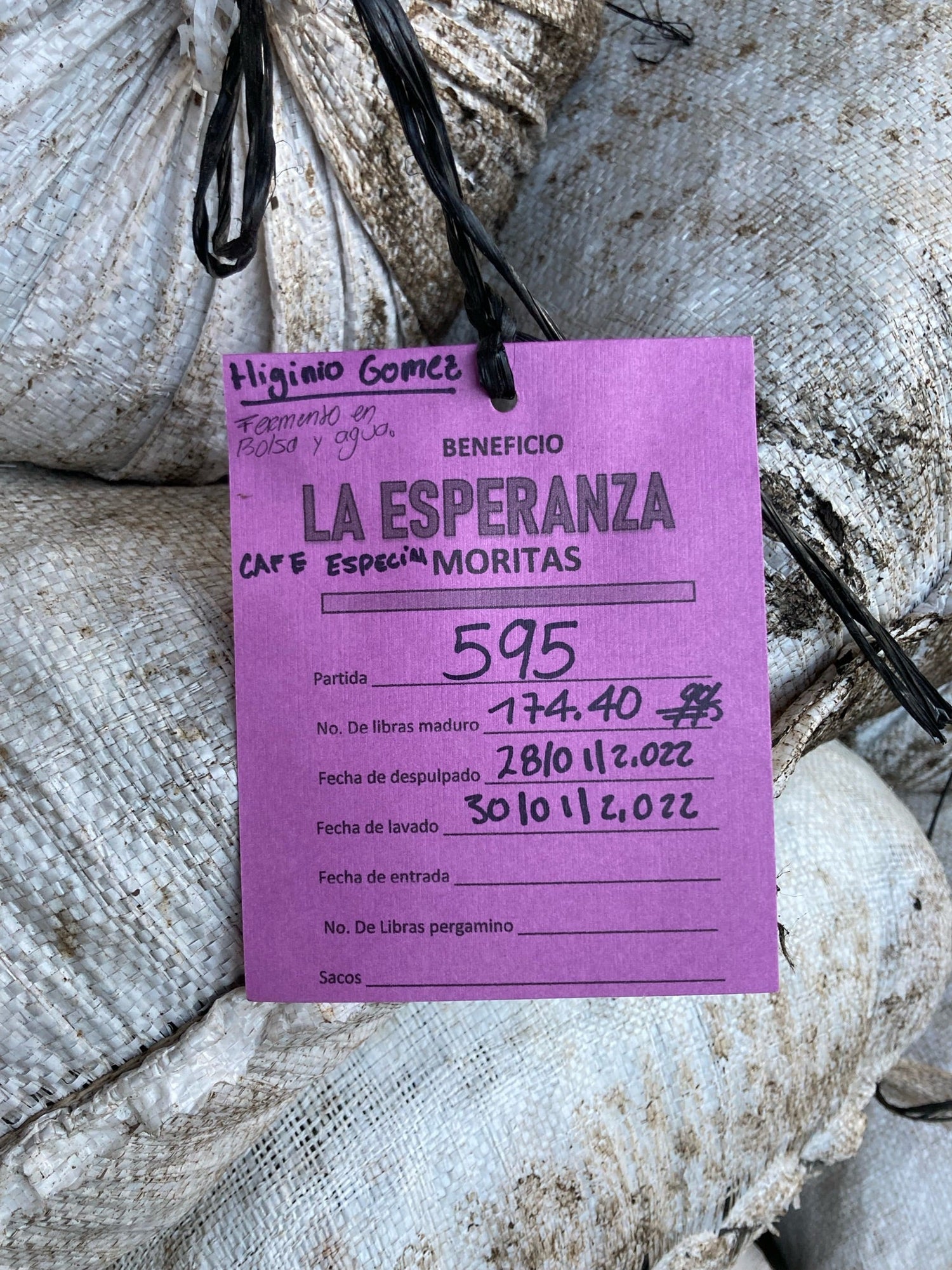Partners Coffee Guatemala - Las Moritas blog post. This image displays a vivid purple label attached to bulk bags of green coffee from origin in Guatemala