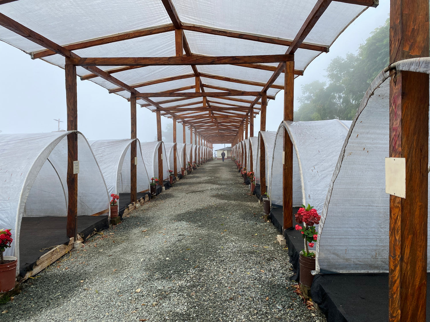 Trip Report: Colombia, February 2024