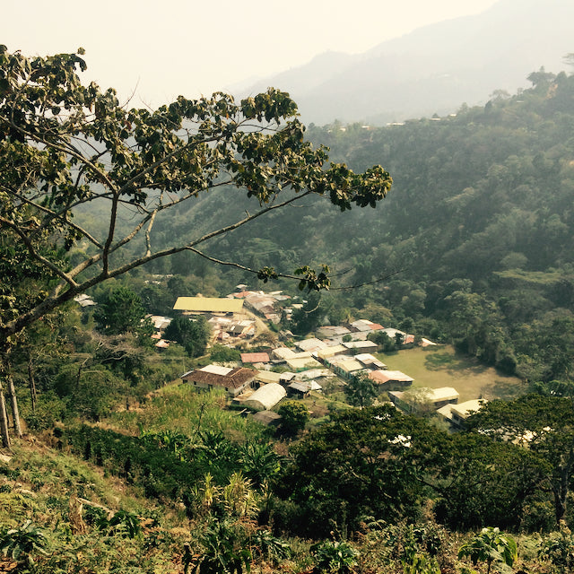 Partners Coffee image for Coffee Origins blog post. This image depicts a an overlook of Huila, Colombia