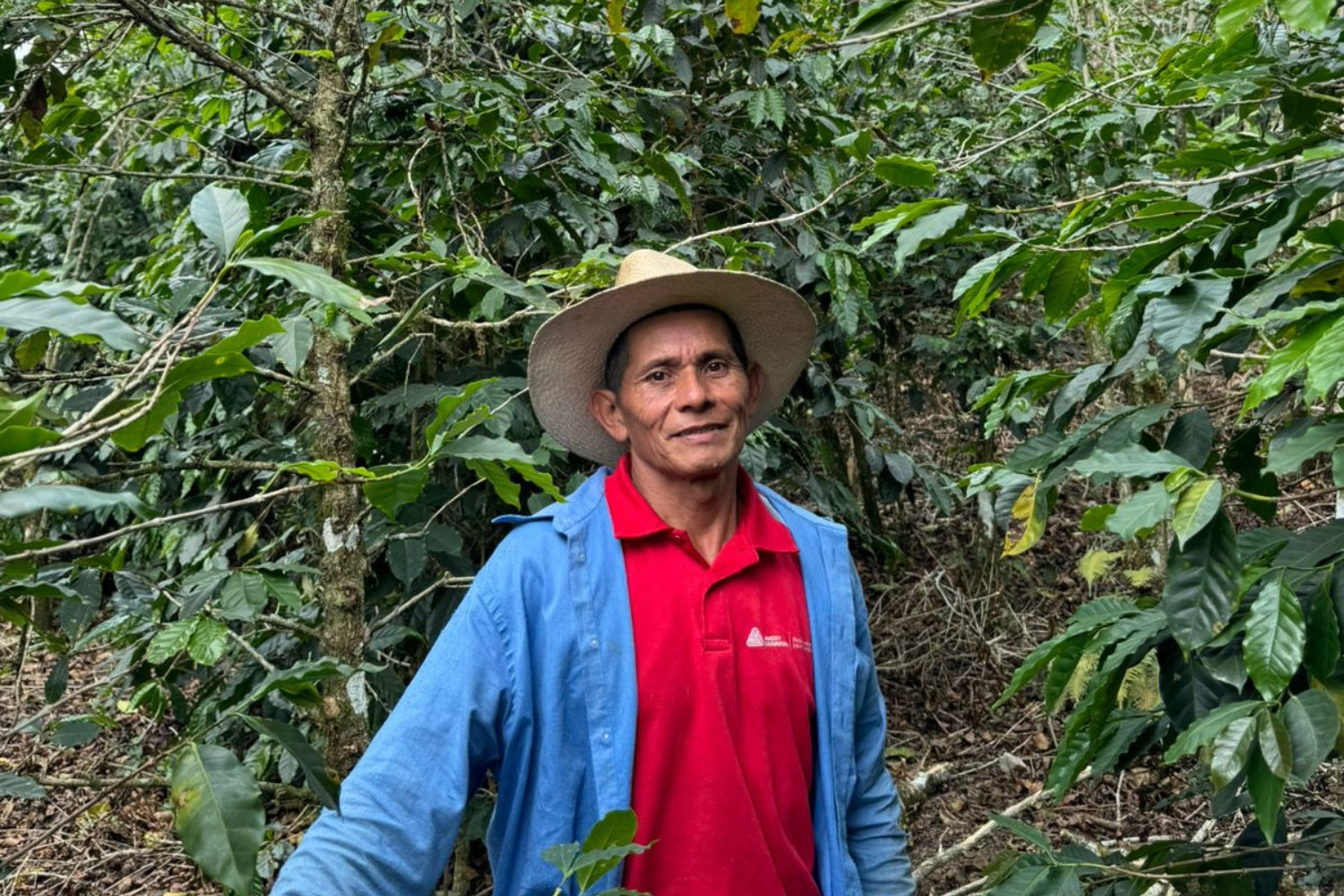 Partners Coffee Honduras - Carlos Damian blog post. This image depicts producer Carlos Damian Rodriguez on his farm in Honduras.