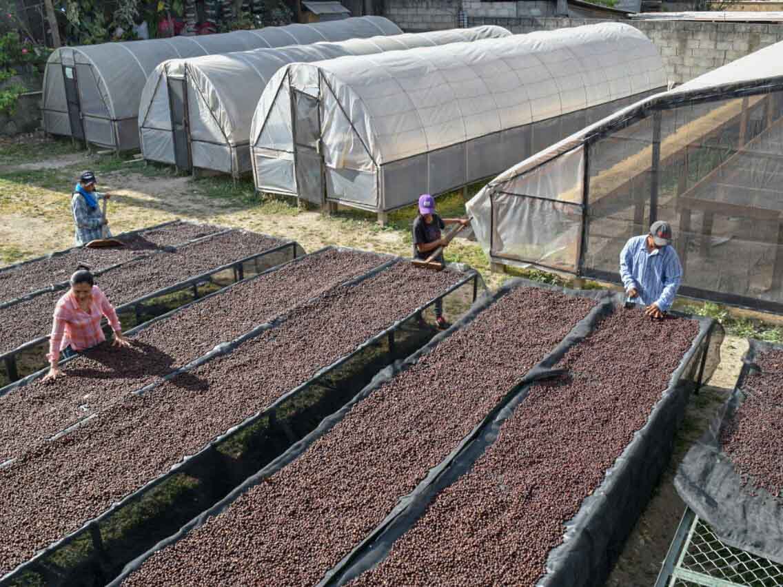 Honduras - San Francisco (2020)