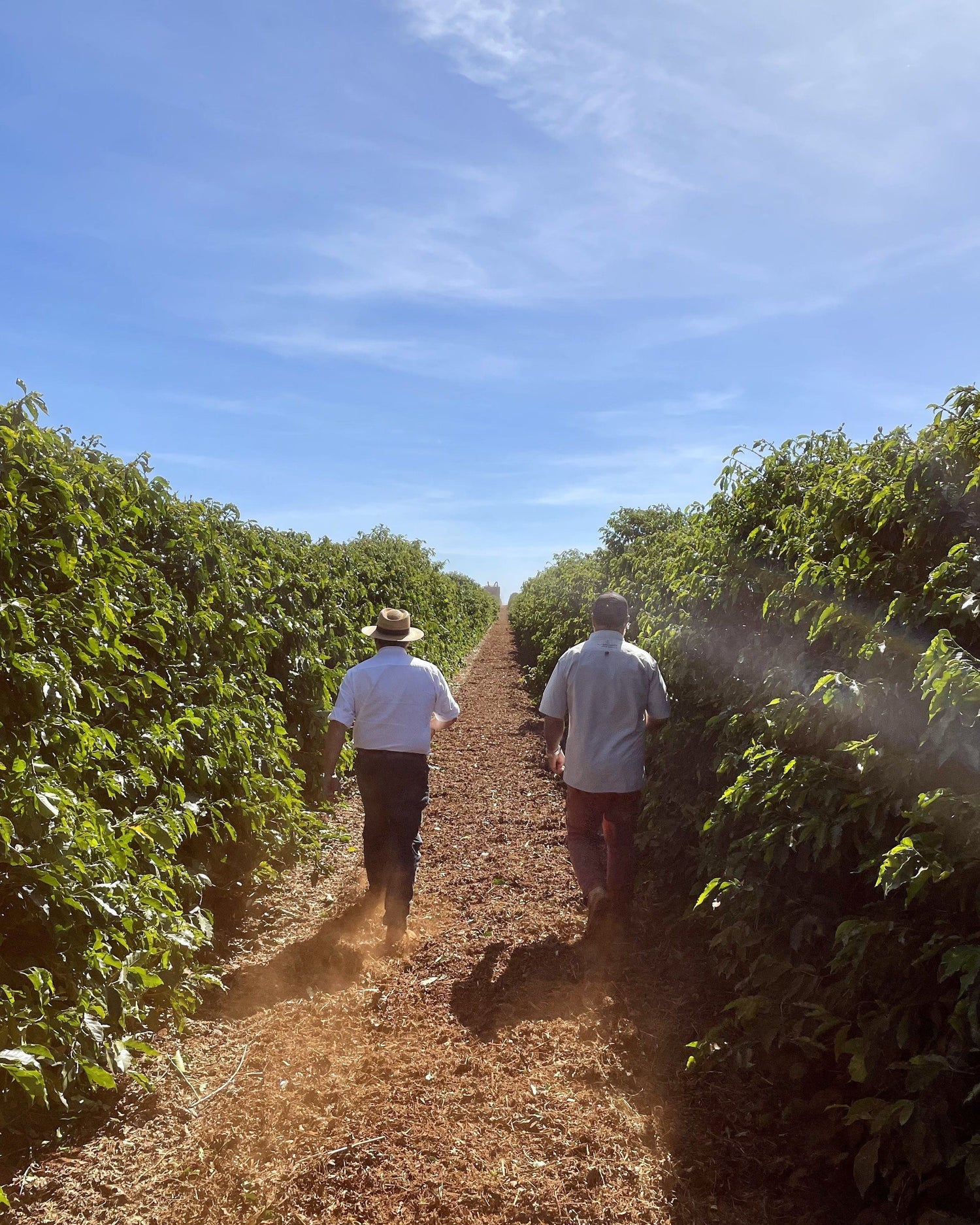 Producers at origin in Minas Gerais, Brazil ©Rio Brilhante
