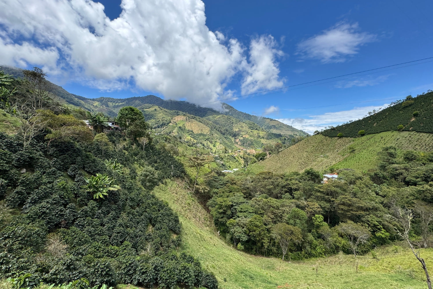 Origin photo for Colombia Nuevo Horizonte