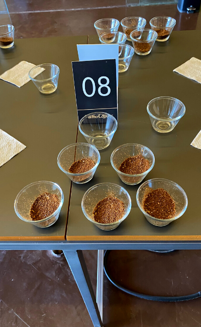 Brazil - Santa Inês (2022)