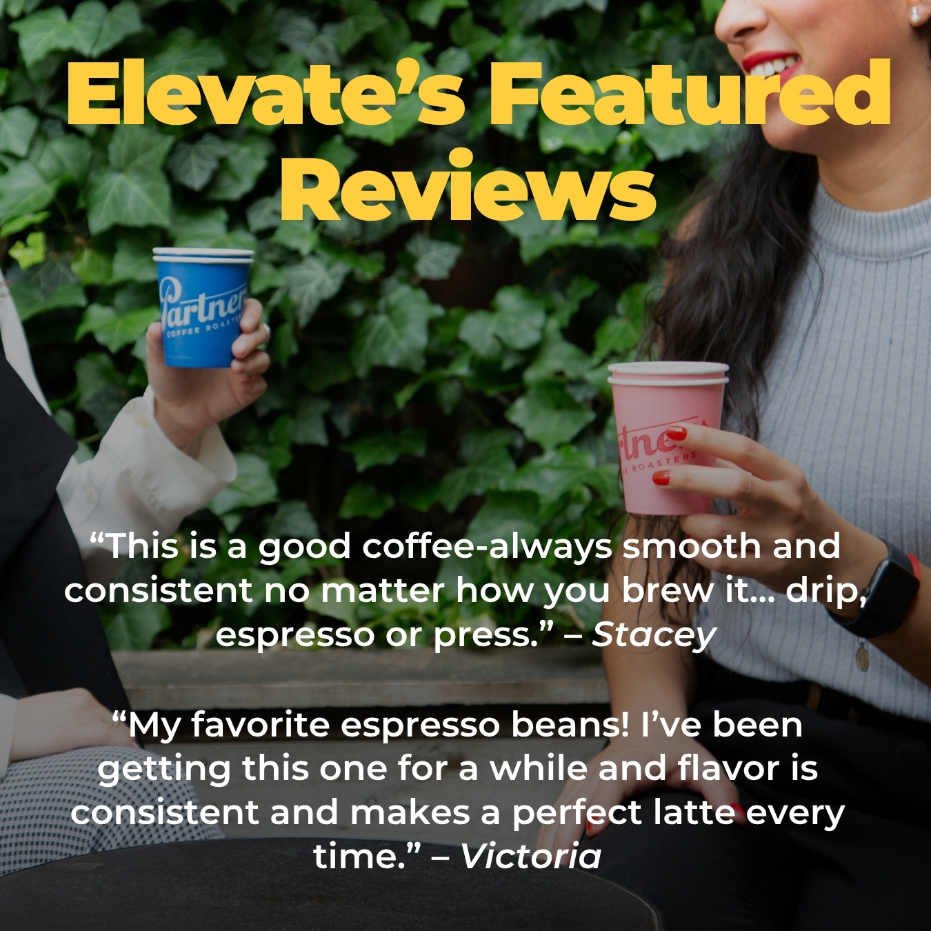 Elevate