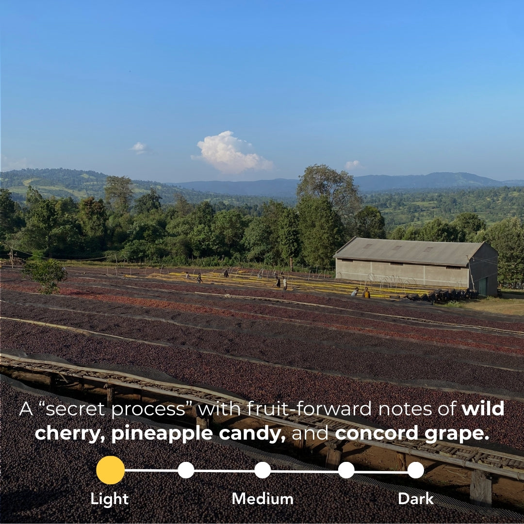 Ethiopia - Suke Quto