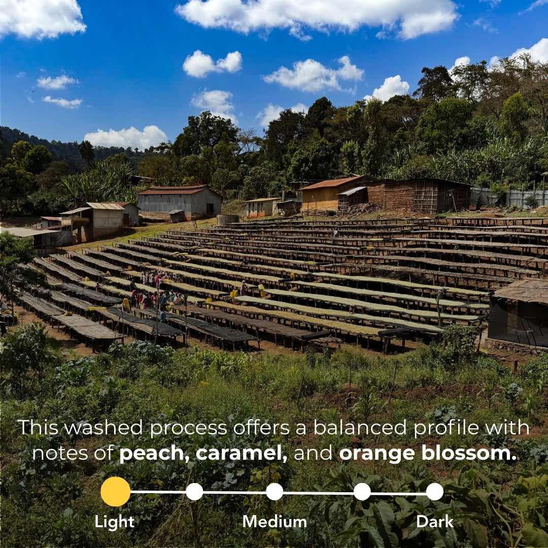 Ethiopia - Suke Quto