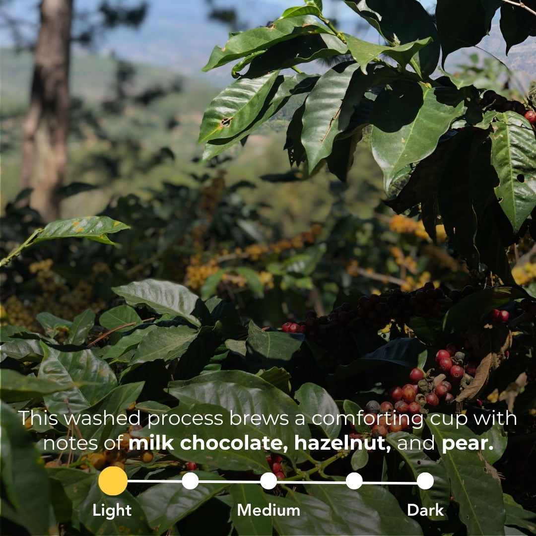 Honduras - Edin Lopez