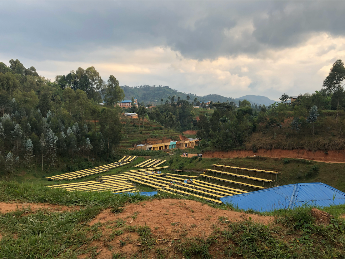 Rwanda - Karambi (2020)