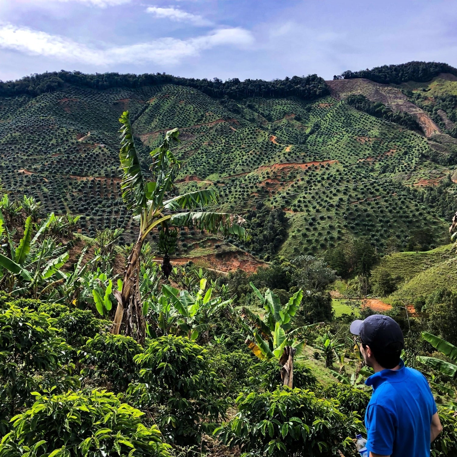 Producer Pedro Echavarría of Pergamino at origin in Colombia
