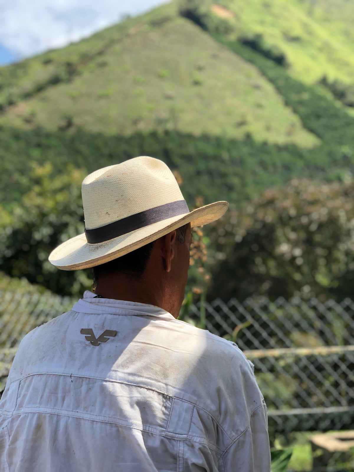 Colombia - El Faldón (2026)