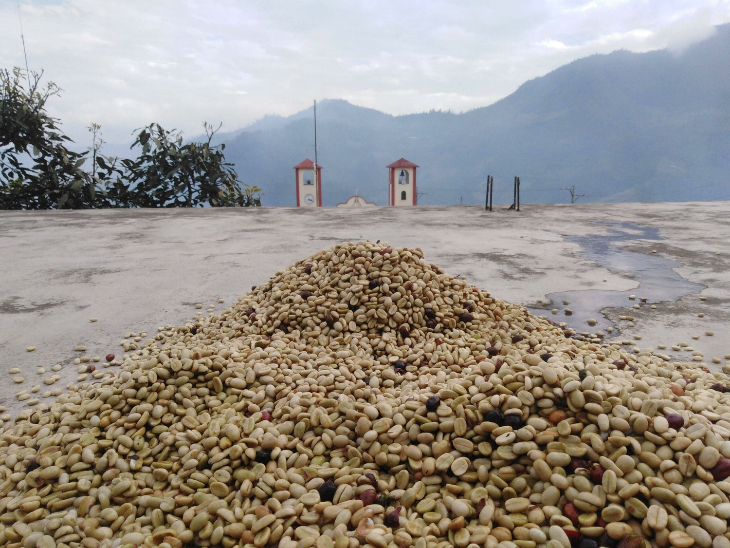 Coffee at origin in Mexico