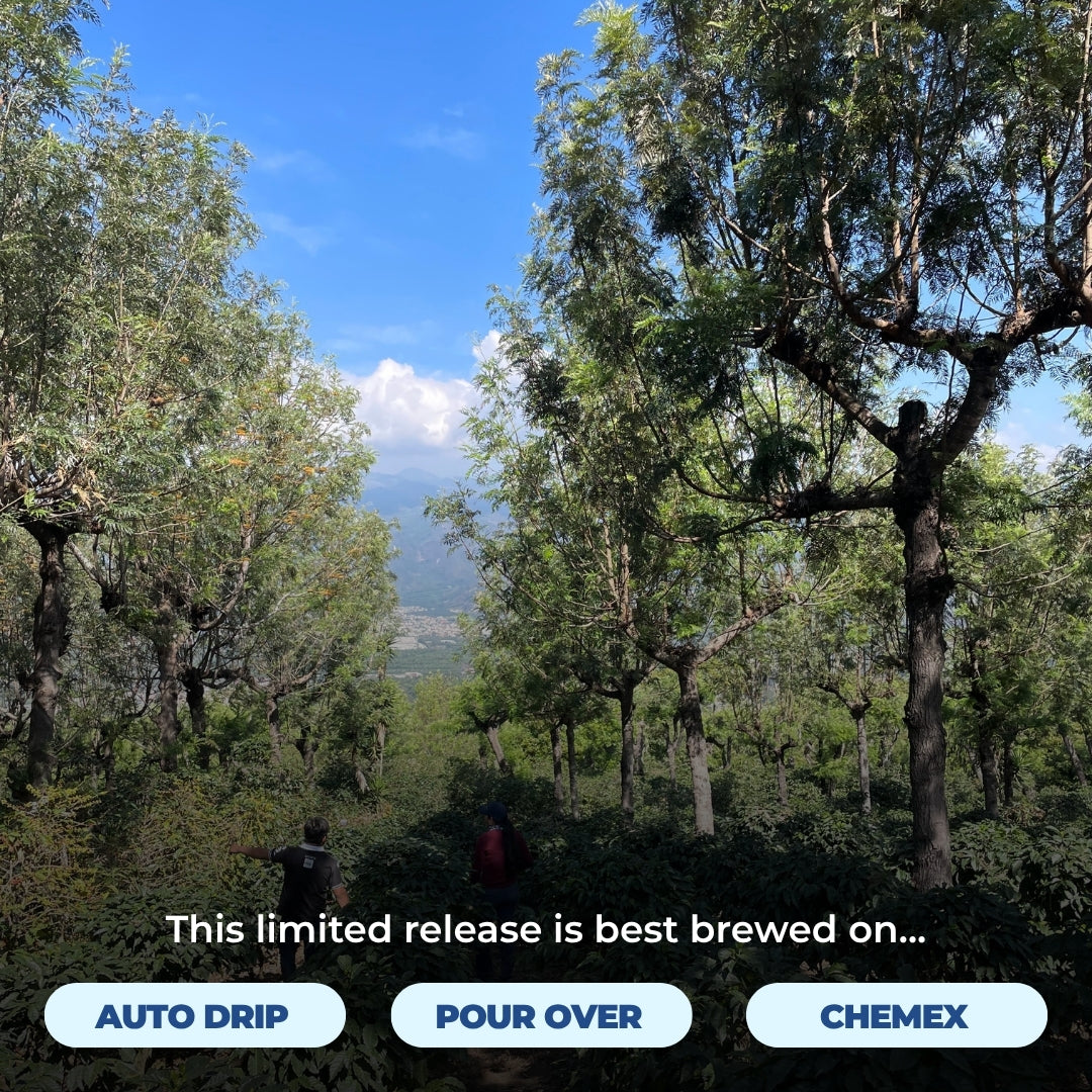 Guatemala - Relámpago