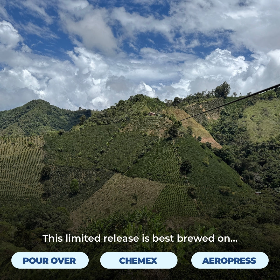 Colombia - Nuevo Horizonte