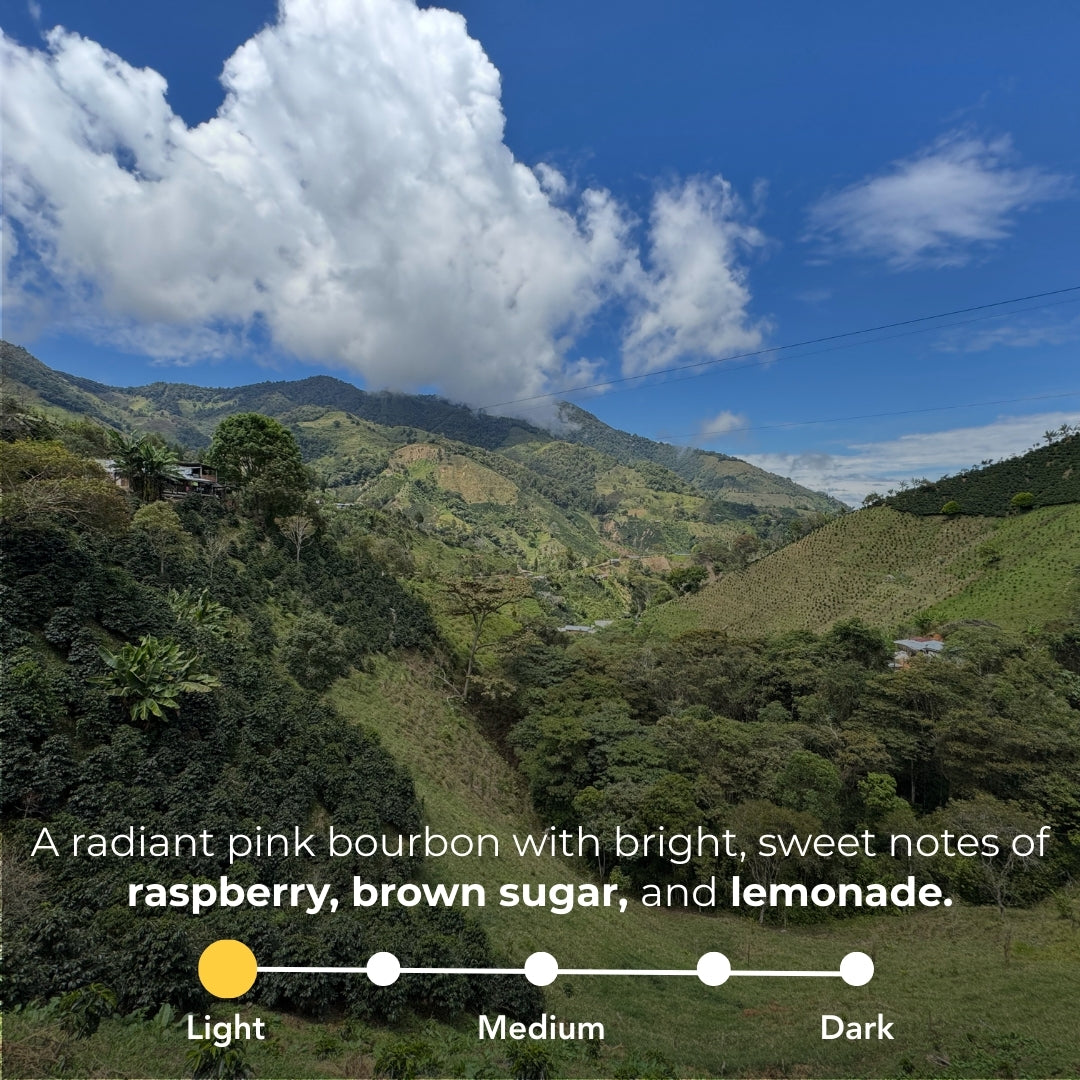 Colombia - Nuevo Horizonte