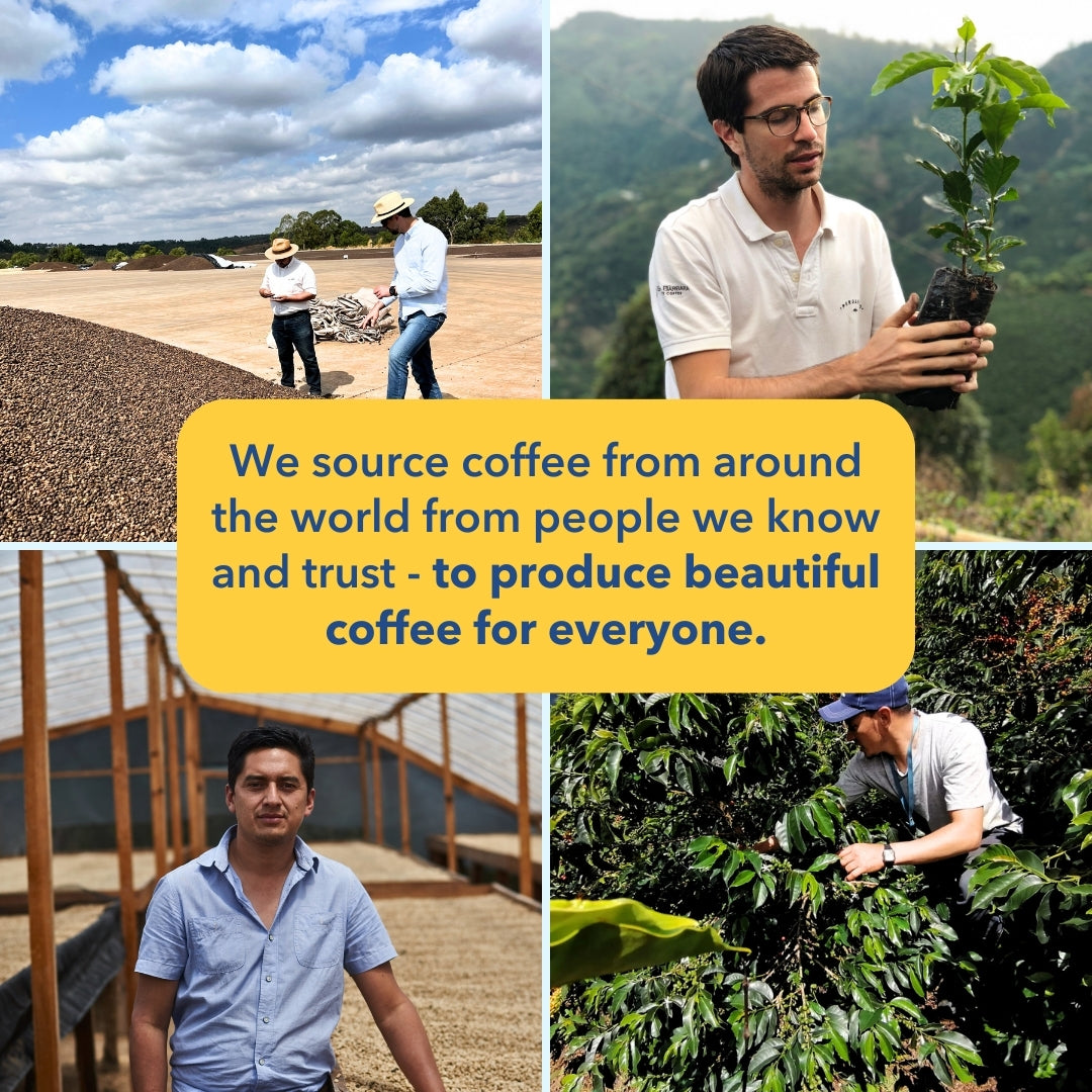 El Ramo - Specialty Instant Coffee