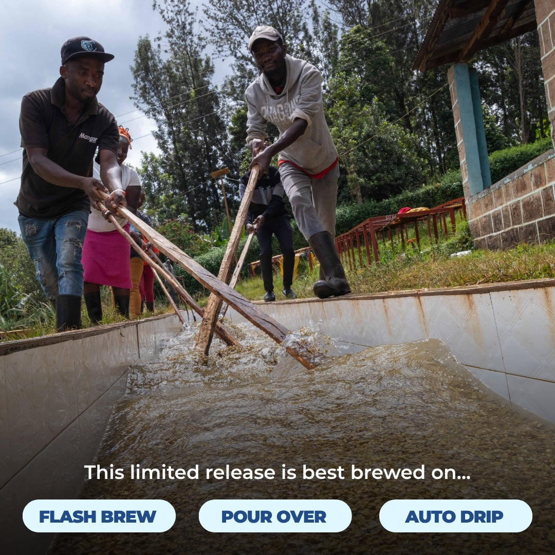 Kenya - Rianjagi