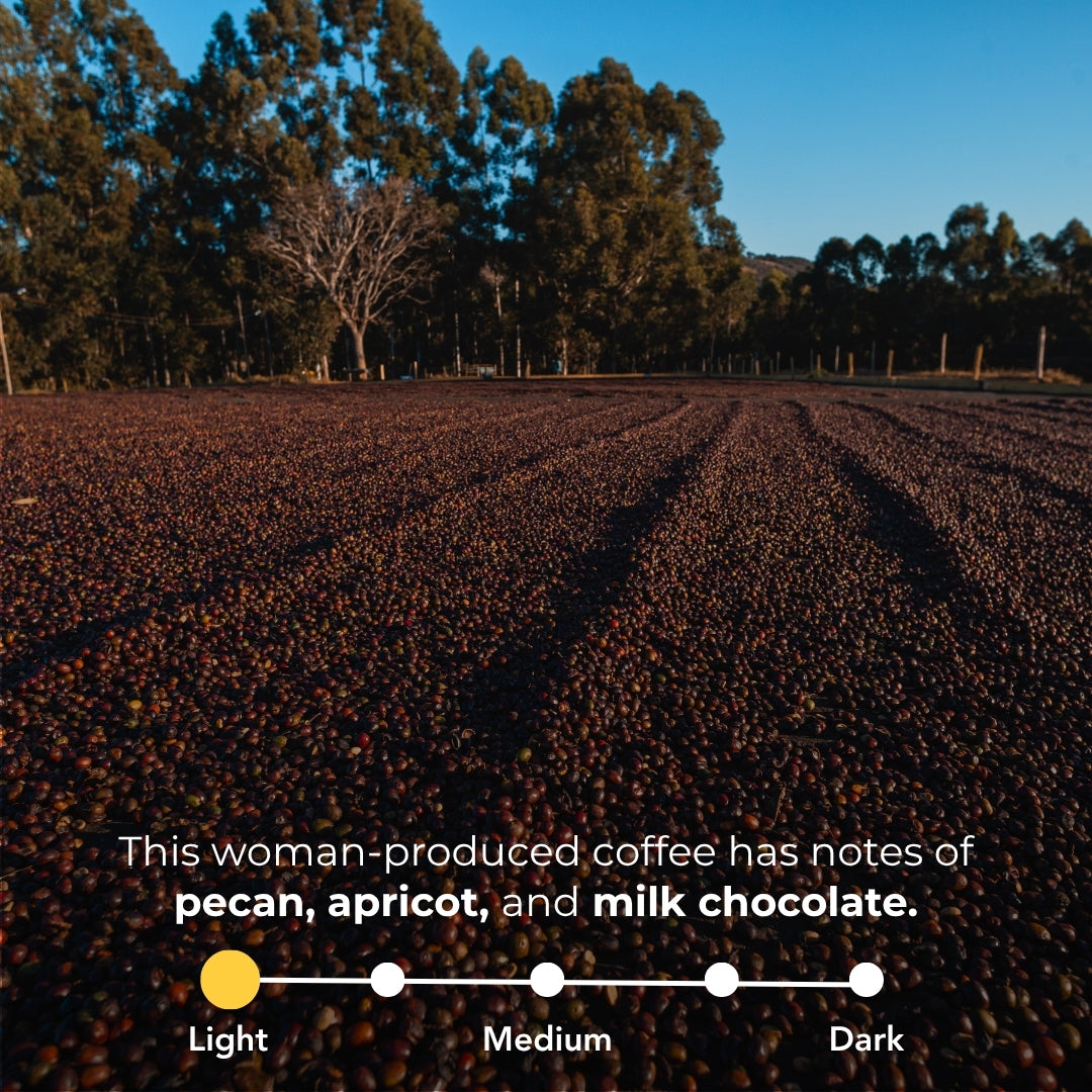 Brazil - Irmãs Pereira