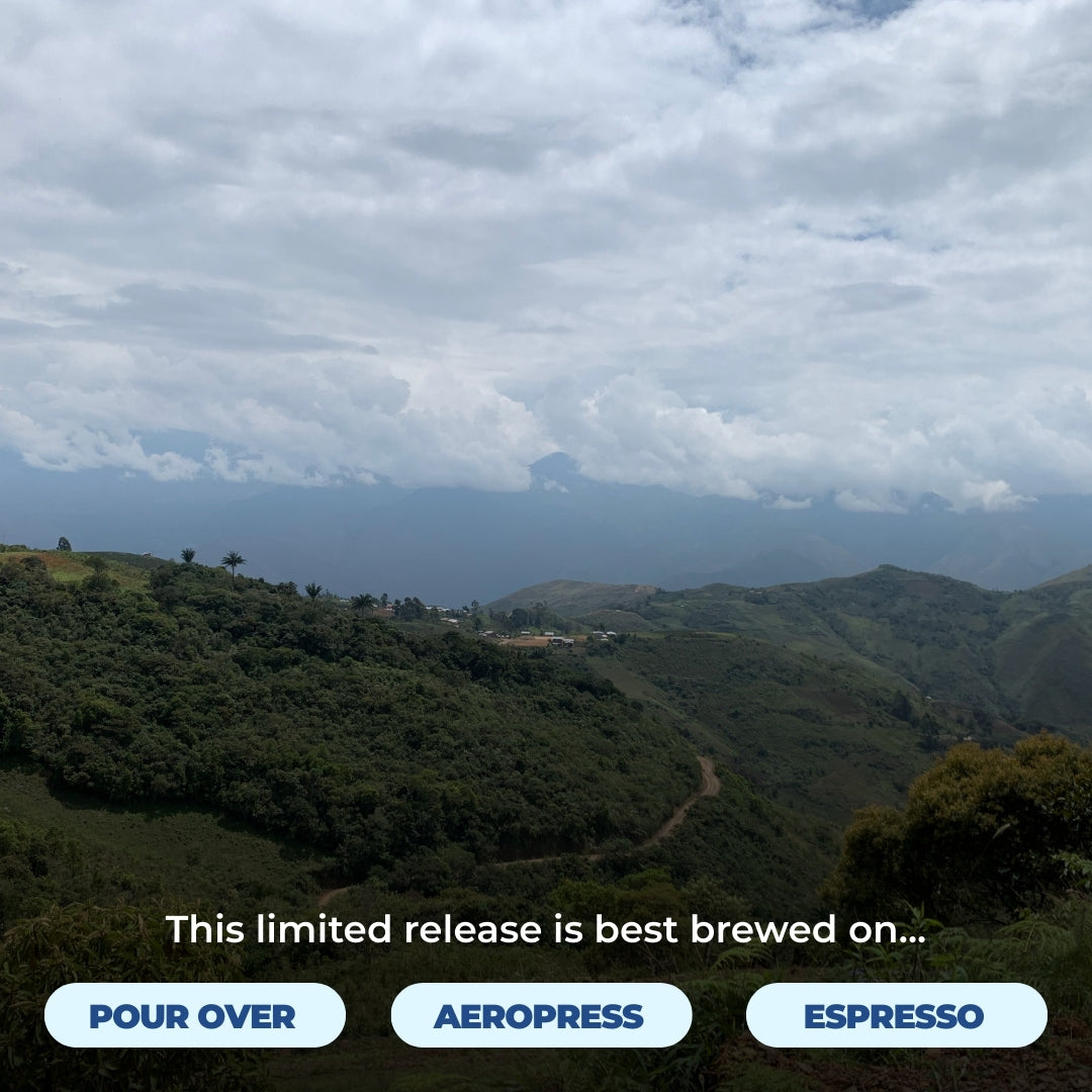 Peru - Los Tulipanes